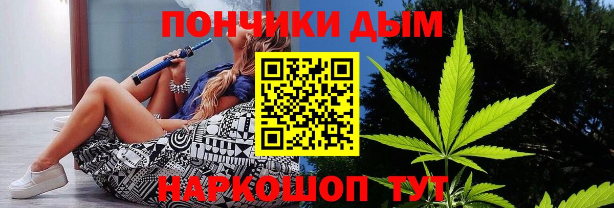 Бошки Шишки план Шелехов